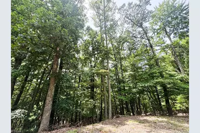 Tbd Timber Ridge Road, McGrady, NC 28649 - Photo 5
