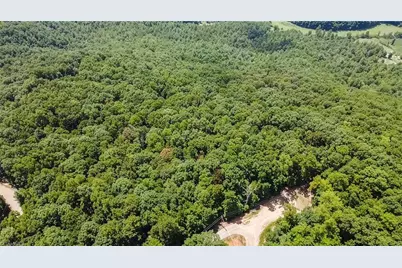Tbd Timber Ridge Road, McGrady, NC 28649 - Photo 19