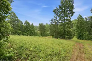 23146 Nc Hwy 109, Denton, NC 27239 - Photo 13
