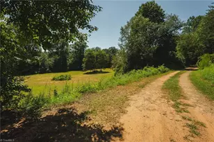 51 Fred Jolly Ln, Taylorsville, NC 28681 - Photo 47
