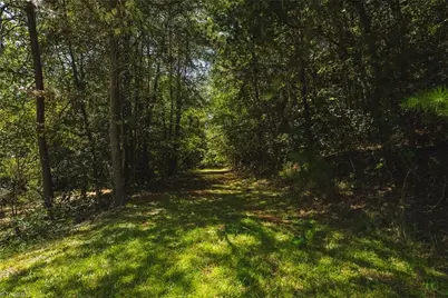 51 Fred Jolly Lane, Taylorsville, NC 28681 - Photo 43