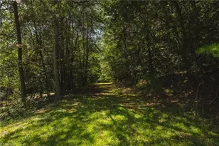 51 Fred Jolly Ln, Taylorsville, NC 28681 - Photo 43