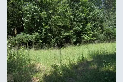 0 Clyde King Road, Seagrove, NC 27341 - Photo 9