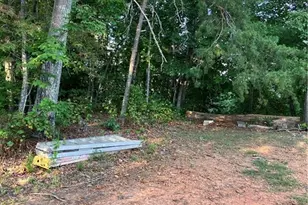 1016 Sanders Shelton Rd, Westfield, NC 27053 - Photo 21