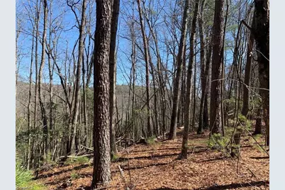 Lot 2 Sutters Ridge Road, McGrady, NC 28649 - Photo 7