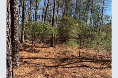 Lot 2 Sutters Ridge Road, McGrady, NC 28649 - Photo 9