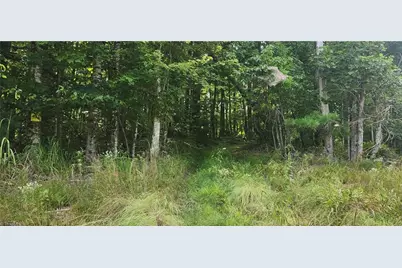 0 Lyons Road, Roaring Gap, NC 28668 - Photo 5