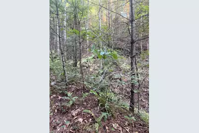 0 W US Highway 421, Purlear, NC 28665 - Photo 29