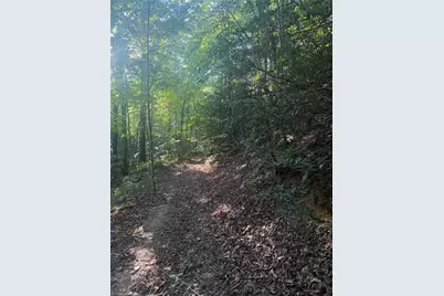 0 W US Highway 421, Purlear, NC 28665 - Photo 21
