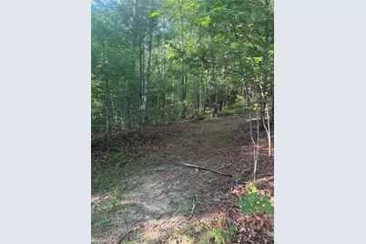0 W US Highway 421, Purlear, NC 28665 - Photo 19
