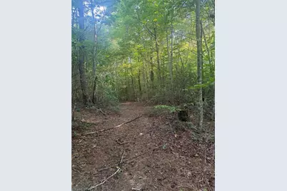 0 W US Highway 421, Purlear, NC 28665 - Photo 15