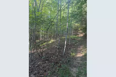 0 W US Highway 421, Purlear, NC 28665 - Photo 23