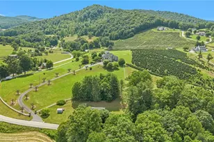 450 Nc Hwy 88 E, Jefferson, NC 28640 - Photo 5