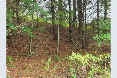 Lot  69 Green Meadows Drive, Todd, NC 28684 - Photo 7