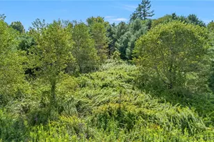 Lot 69 Green Meadows Dr, Todd, NC 28684 - Photo 1