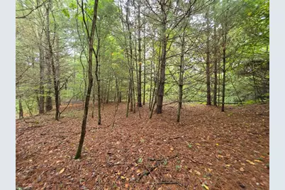 Lot 78 Green Meadows Drive, Todd, NC 28684 - Photo 1