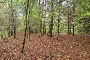 Lot 78 Green Meadows Dr, Todd, NC 28684 - Photo 1