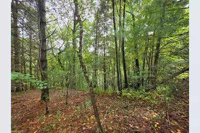 Lot 78 Green Meadows Drive, Todd, NC 28684 - Photo 3