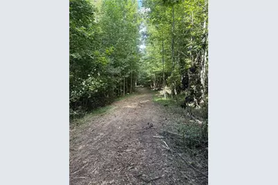 N/A Red White and Blue Road, Roaring River, NC 28669 - Photo 15