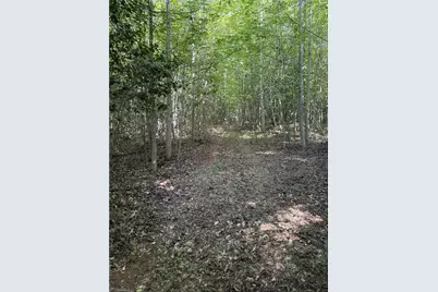 N/A Red White and Blue Road, Roaring River, NC 28669 - Photo 13