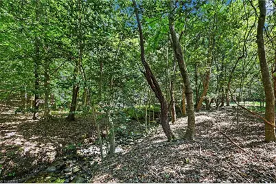3883 Millikan Farm Road, Franklinville, NC 27248 - Photo 3