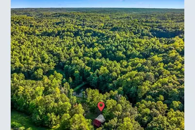 558 Throckmorton Road, Madison, NC 27025 - Photo 45