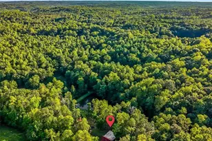 558 Throckmorton Rd, Madison, NC 27025 - Photo 45