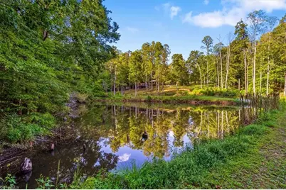 558 Throckmorton Road, Madison, NC 27025 - Photo 31