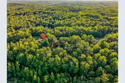 558 Throckmorton Road, Madison, NC 27025 - Photo 41