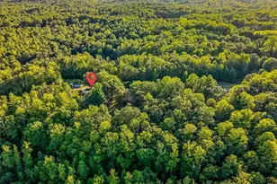 558 Throckmorton Rd, Madison, NC 27025 - Photo 41
