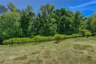 771 Nc Hwy 150, Reidsville, NC 27320 - Photo 45