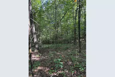 5102 Waynick Meadow Road, Asheboro, NC 27205 - Photo 3