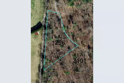 1653 Walshtown Road, Boomer, NC 28606 - Photo 1