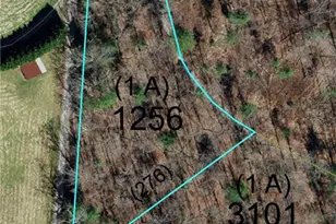 1653 Walshtown Rd, Boomer, NC 28606 - Photo 1