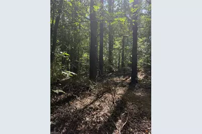 0000 Cook Florist Road, Reidsville, NC 27320 - Photo 3