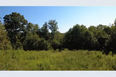 0 Palisade Drive, Pfafftown, NC 27040 - Photo 9