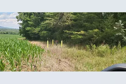 3641 US Highway 21, Hamptonville, NC 27020 - Photo 13