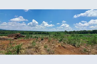 3641 US Highway 21, Hamptonville, NC 27020 - Photo 1