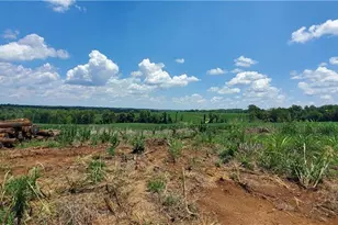 3641 US Hwy 21, Hamptonville, NC 27020 - Photo 1