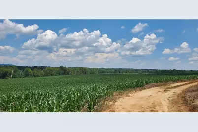 3641 US Highway 21, Hamptonville, NC 27020 - Photo 25