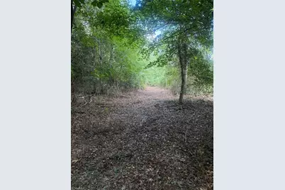 N/A Red White and Blue Road, Roaring River, NC 28669 - Photo 21