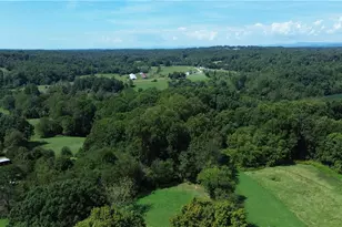 1983 Little Elkin Church Rd, Ronda, NC 28670 - Photo 39