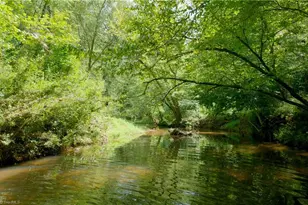 3505 Nc Hwy 66 S, Westfield, NC 27053 - Photo 29