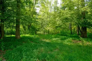 3505 Nc Hwy 66 S, Westfield, NC 27053 - Photo 25
