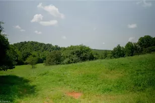 3505 Nc Hwy 66 S, Westfield, NC 27053 - Photo 19