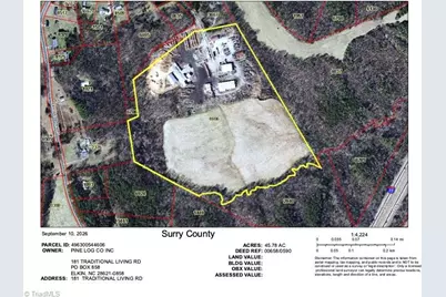 181 Traditional Living Road, State Road, NC 28676 - Photo 3