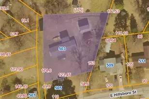 503 Hillsboro St, Mount Olive, NC 28365 - Photo 3