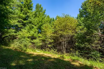 257 Alta Vista Lane, Sparta, NC 28675 - Photo 7