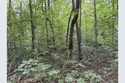 3504 Martin Avenue, Greensboro, NC 27405 - Photo 17