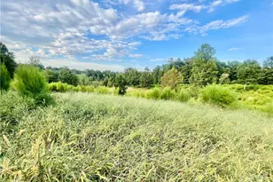 325 Ellas Ln, Roaring River, NC 28669 - Photo 23
